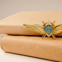 Знак классности военный летчик ВВС